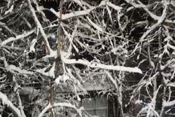 برف در راه خراسان جنوبی؛ پایان چشم‌انتظاری آسمان کویر