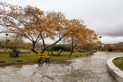 داداشی: بارش باران و برف در خراسان شمالی ادامه دارد