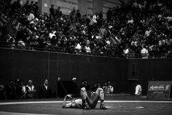 نعمتی اولین فینالیست کشتی ایران/ والی زاده به رده بندی راه یافت