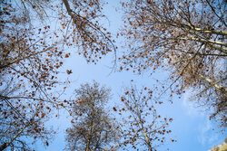 کاهش ۱۲ درجه ای دمای هوا در خراسان رضوی