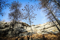 هوای مشهد ناسالم است