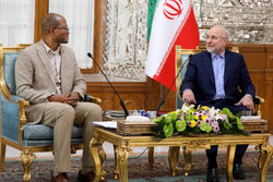Iranian and Ethiopian parliament speakers' meeting in Tehran