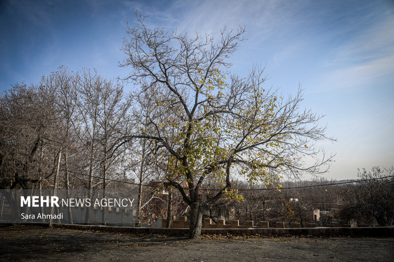 كيفيت،حساس،گروه