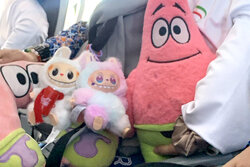 دخترانی که با عروسک آمدند و با مدال برگشتند/ «من با این ورزش زنده‌ام»