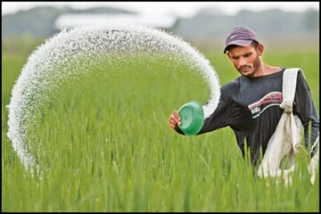 مصرف ترکیبی کودها راهکار افزایش بهره‌وری کشاورزی چهارمحال و بختیاری