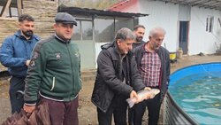 مرادی: تولید ماهیان سردابی و خاویاری رودسر ظرفیت صادراتی بالایی دارد