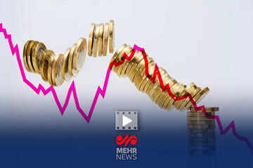 چهل درصد شرکت های دولتی زیان‌ده هستند