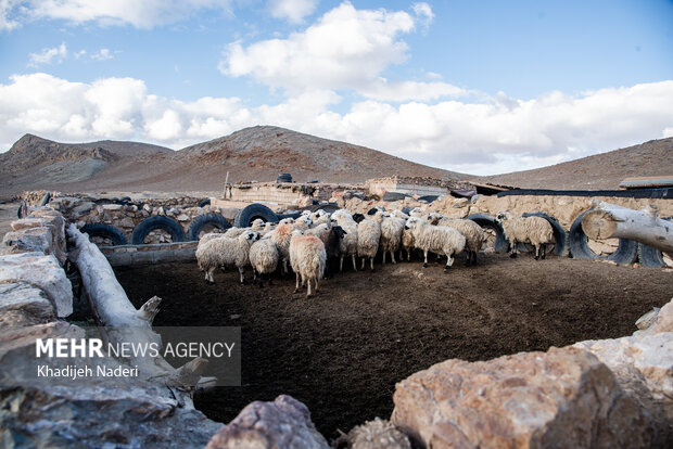 روستای حسن رباط اصفهان