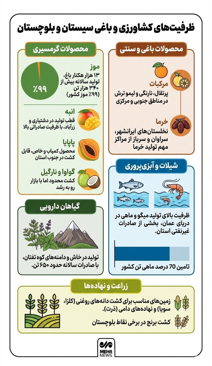 اینفوگرافیک؛ ظرفیت‌های کشاورزی و باغی سیستان و بلوچستان
