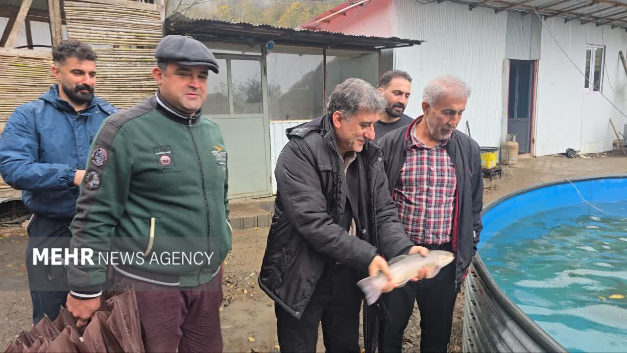 مرادی: تولید ماهیان سردابی و خاویاری رودسر ظرفیت صادراتی بالایی دارد