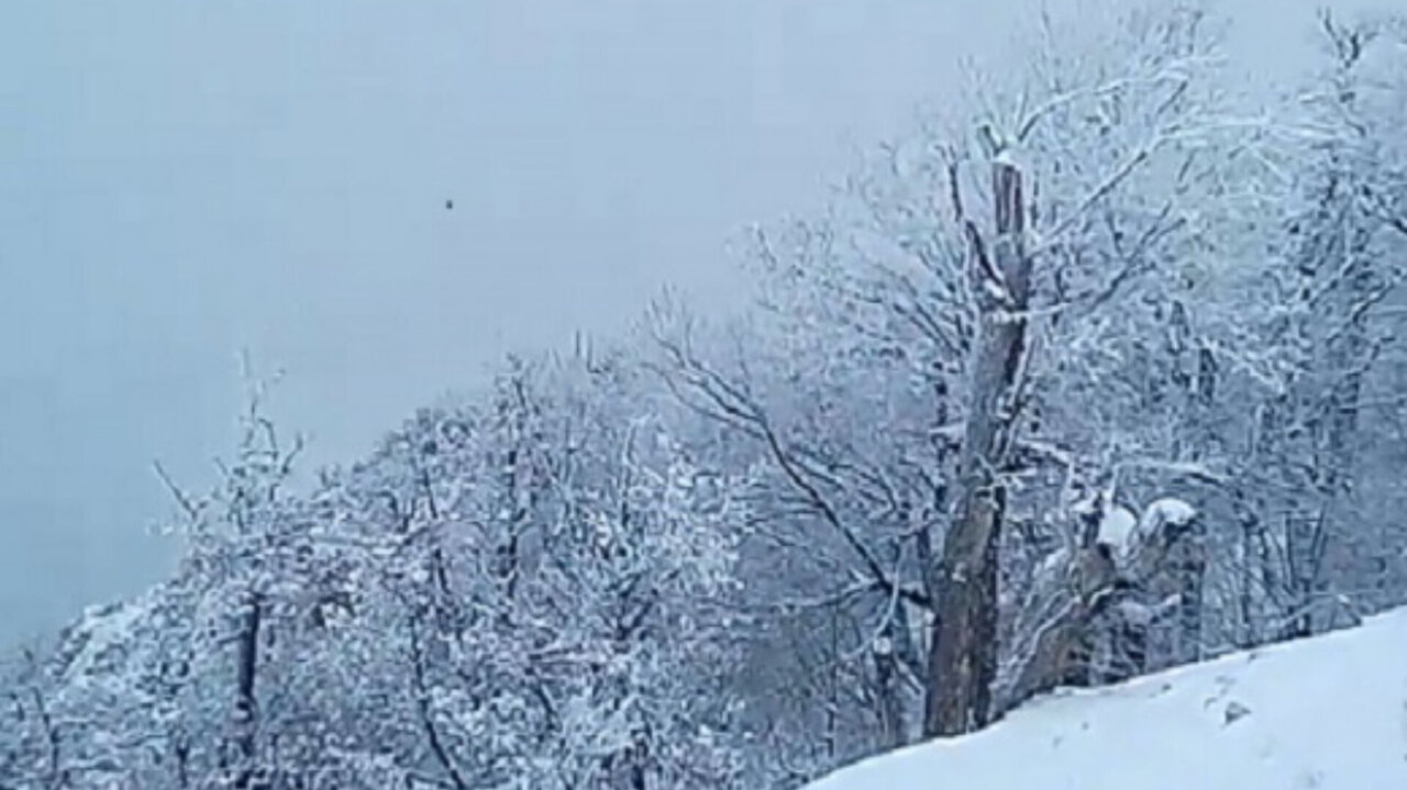 بارش برف جواهردشت چابکسر را سفیدپوش کرد بارش برف جواهردشت چابکسر را سفیدپوش کرد