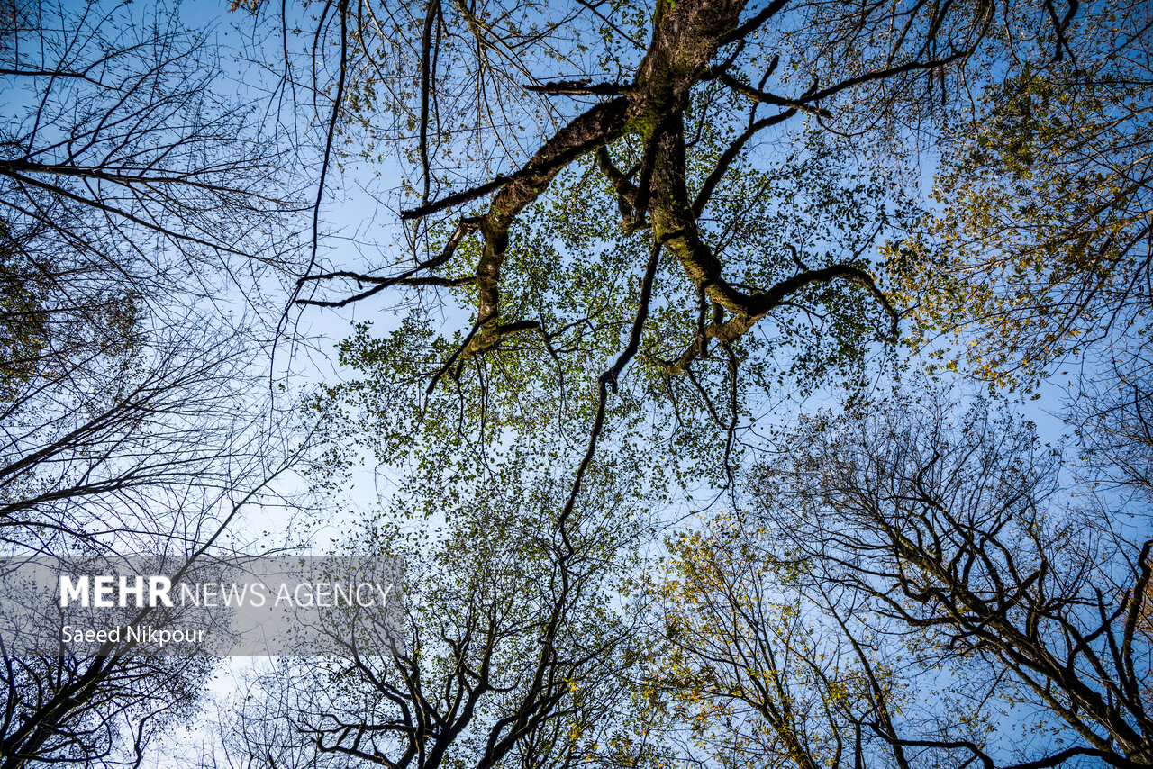 آلشدشت گیلان در واپسین روزهای پاییز آلشدشت گیلان در واپسین روزهای پاییز