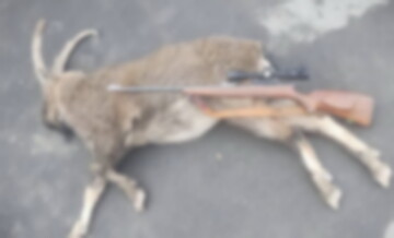 دستگیری شکارچی متخلف در منطقه حفاظت‌شده البرز جنوبی