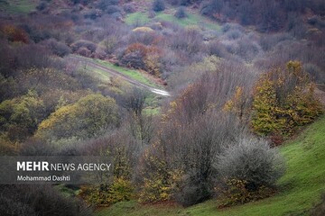 نامه ایران به کنوانسیون تنوع زیستی؛ درخواست محکومیت جنگ