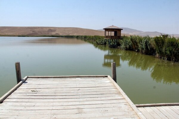 تالاب بینالمللی درگهسنگی نقده به طور کامل آبگیری شد