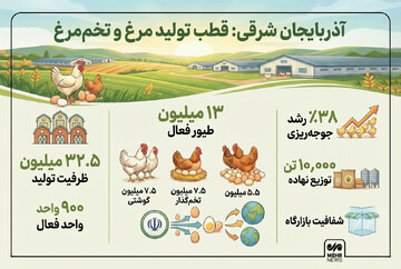 اینفوگرافیک؛ رشد تولید مرغ در آذربایجان شرقی به روایت آمار