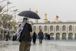 خدمت رسانی بهتر به زائرین در پروژه «از اربعین تا اربعین» عتبه حسینی