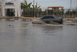 بارش باران صبحگاهی امروز در بندرکنگ