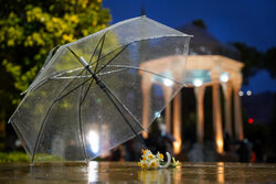 نوای برگ‌ها و قطره‌های باران در آرامگاه حافظ