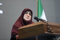 مهاجرانی: اصلاح معیشت مردم با طرح جدید دولت کلید خورد