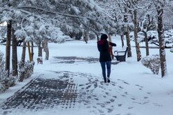 بارش برف و باران زودگذر در اردبیل؛ یخبندان گسترده از شنبه