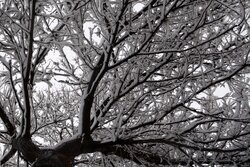 بارش سنگین برف در نیستانک نائین