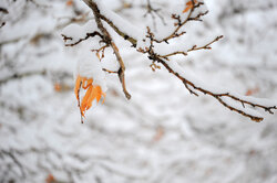 رخت سفید بر تن ارتفاعات استان یزد