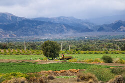 زاگرس نفس می‌خواهد