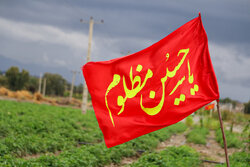 داداشی: رگبار پراکنده و رعدوبرق از دوشنبه خراسان شمالی را فرا می‌گیرد