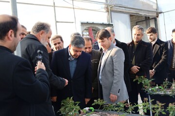 بهره‌برداری از یک گلخانه تولید گل در اندراب سرعین