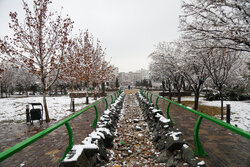 هوای مشهد سالم است؛۲ منطقه در وضعیت ناسالم