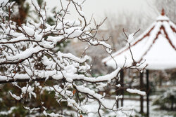 هوای مشهد پاک و برفی است