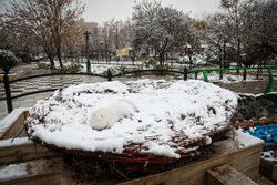 کیفیت هوای مشهد قابل قبول است