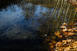 پاییز شاندیز