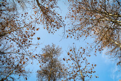 هوای مشهد سالم است