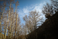 هوای مشهد قابل قبول است