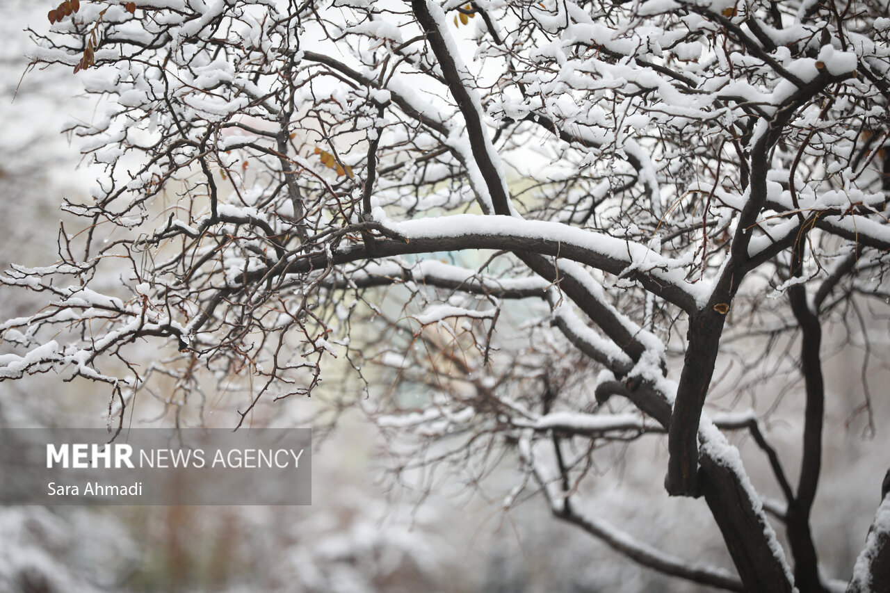 بارش برف در روستای امامزاده ابراهیم(ع) شفت بارش برف در روستای امامزاده ابراهیم(ع) شفت