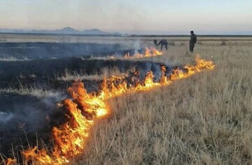 آتش‌سوزی در جنوب پارک ملی دریاچه ارومیه مهار شد