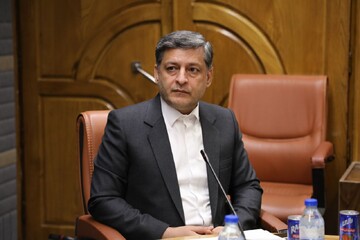 رحیمیان: گشت‌های مشترک تعزیرات برای کنترل بازار شب عید و رمضان آغاز شد