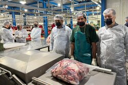 حسینی: سیستان‌ و بلوچستان یکی از محورهای تأمین گوشت قرمز کشور است