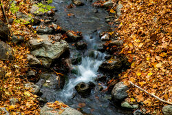 تقرير مصور...الأيام الأخيرة من الخريف في طهران