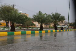 بارش باران در استان سمنان؛ هوا سردتر شد