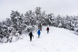 بارش ۵۵ سانتی متری برف در روستای علی کرمی دمچنار