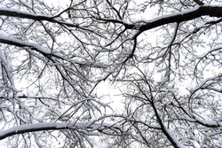 تعطیلی نوبت صبح مدارس سلفچگان، خلجستان و قاهان در روز شنبه ۲۹ آذرماه