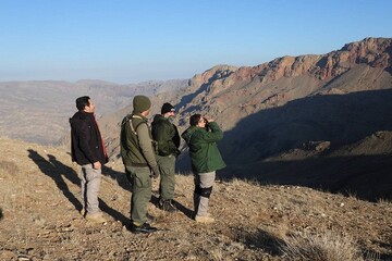 جباری: سرشماری حیات وحش منطقه حفاظت شده مراکان پایان یافت