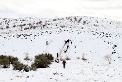 هم اکنون گردنه اسدلی بجنورد