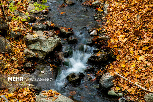 تقرير مصور...الأيام الأخيرة من الخريف في طهران