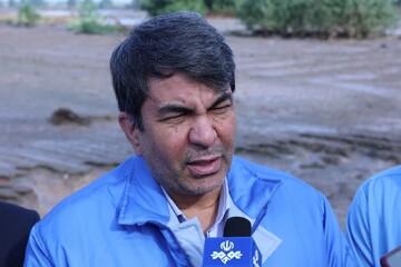 استاندار کرمان: سیل‌بندهای مناطق سیل زده باید سریع ترمیم شود