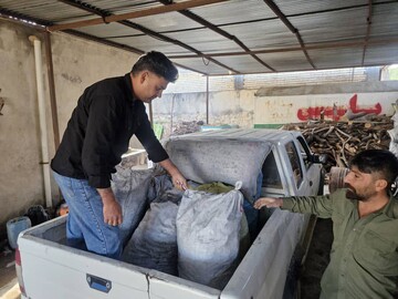 کشف ۴۶۰۰ کیلوگرم هیزم قاچاق در کهگیلویه و بویراحمد