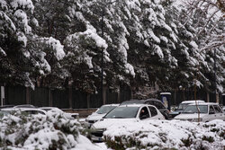 مبشری نسب:دمای هوای مشهد امشب به منفی ۲ درجه می رسد